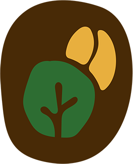 floresta agricultura