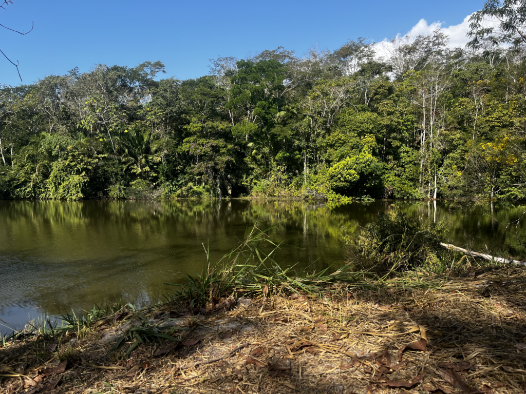 Vista da TI Sete de Setembro (Foto: Acervo Ecoporé)