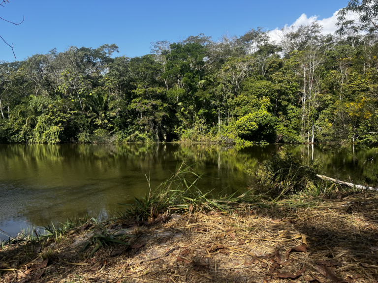 Vista da TI Sete de Setembro (Foto: Acervo Ecoporé)